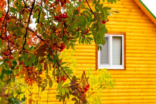 Garden Window Replacement in Fremont